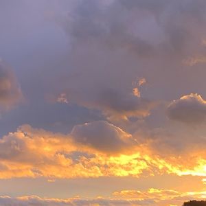 Meet your Posher, Lexi